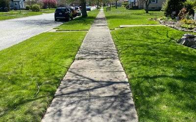 Photo of Jessica D.'s yard after getting lawn care in Hobart, IN