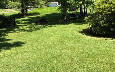Photo of Alexis M.'s yard after getting lawn care in Maumelle, AR