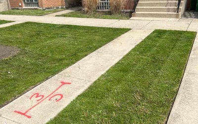 Photo of Brett H.'s yard after getting lawn care in Glendale Heights, IL