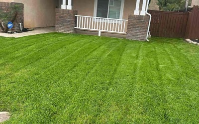 Photo of Angela F.'s yard after getting lawn care in Corona, CA