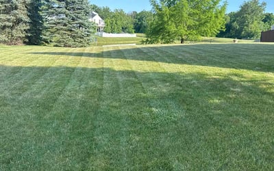Photo of Cindi R.'s yard after getting lawn care in Shelbyville, IN