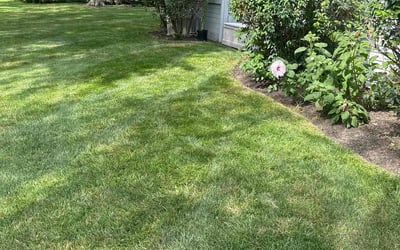 Photo of Amanda M.'s yard after getting lawn care in Carmel, IN
