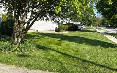 Photo of Denise A.'s yard after getting lawn care in Portage, IN