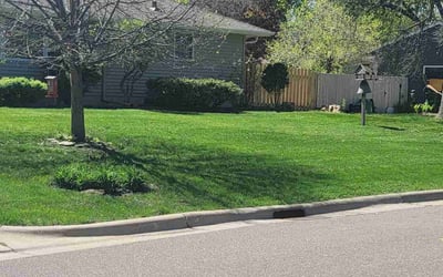 Photo of Gloria R.'s yard after getting lawn care in Brooklyn Center, MN