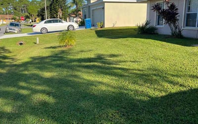 Photo of JZysiuna W.'s yard after getting lawn care in Indialantic, FL