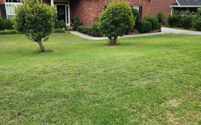 Photo of Lori H.'s yard after getting lawn care in Augusta, GA
