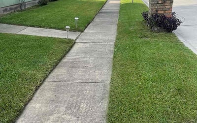 Photo of Alex Y.'s yard after getting lawn care in Bel Air, MD