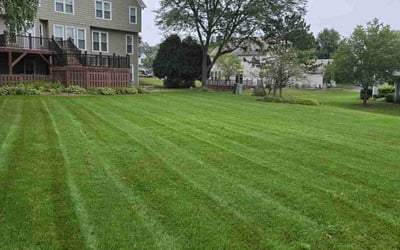Photo of Andrea H.'s yard after getting lawn care in Hoffman Estates, IL