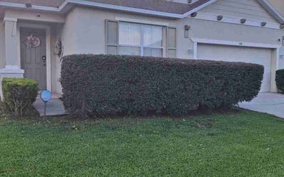 Photo of Marcia S.'s yard after getting lawn care in Elmont, NY