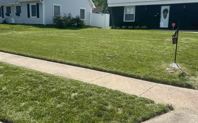 Photo of Mike A.'s yard after getting lawn care in Willingboro, NJ