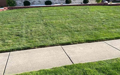 Photo of Denise T.'s yard after getting lawn care in Tinley Park, IL