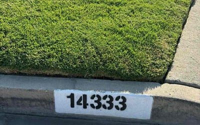 Photo of Diane G.'s yard after getting lawn care in Norwalk, CA