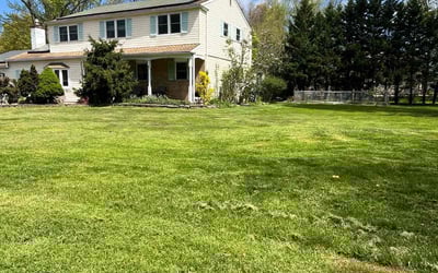Photo of P R.'s yard after getting lawn care in Hatfield, PA
