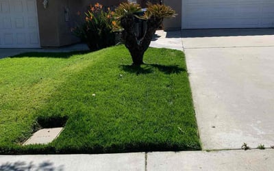 Photo of Donna M.'s yard after getting lawn care in Corona, CA