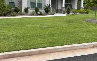 Photo of Mollie M.'s yard after getting lawn care in Savannah, GA