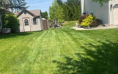 Photo of Edna C.'s yard after getting lawn care in Easton, PA