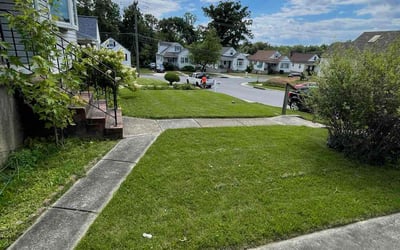 Photo of Rebecca B.'s yard after getting lawn care in Gwynn Oak, MD
