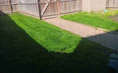 Photo of Adrian B.'s yard after getting lawn care in Mount Pleasant, PA