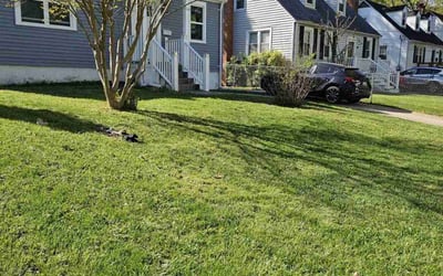 Photo of Cheryl M.'s yard after getting lawn care in College Park, MD