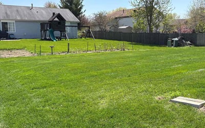 Photo of Shanena W.'s yard after getting lawn care in Woodstock, IL