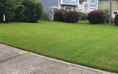 Photo of Paula J.'s yard after getting lawn care in Jonesborough, TN