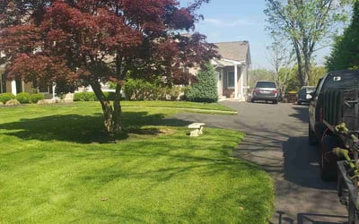 Photo of Robert S.'s yard after getting lawn care in Lansdale, PA