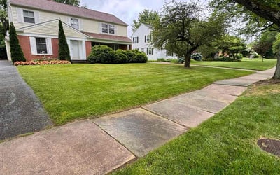 Photo of Amanda S.'s yard after getting lawn care in Brecksville, OH