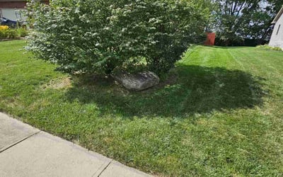 Photo of Nick A.'s yard after getting lawn care in Tipp City, OH