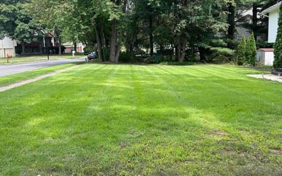 Photo of Alicia W.'s yard after getting lawn care in Niles, OH