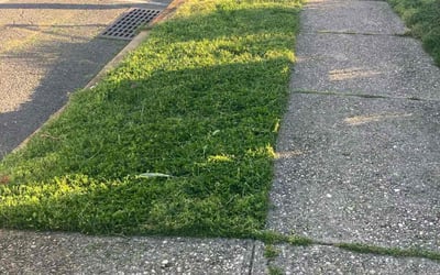 Photo of Bryce H.'s yard after getting lawn care in Kearny, NJ