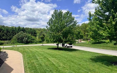 Photo of David W.'s yard after getting lawn care in Auburn, AL