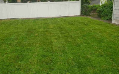 Photo of Ernesto G.'s yard after getting lawn care in Patchogue, NY