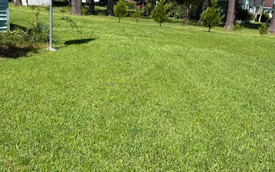 Photo of Tremeka W.'s yard after getting lawn care in Lansing, IL