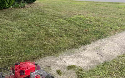 Photo of April G.'s yard after getting lawn care in Massapequa, NY