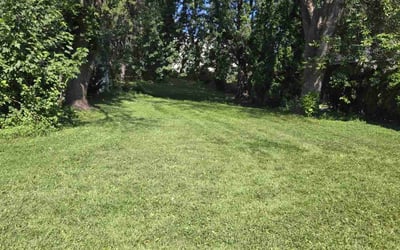 Photo of Dori S.'s yard after getting lawn care in Buffalo, MN