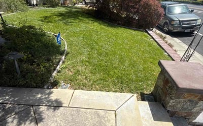 Photo of Laura S.'s yard after getting lawn care in La Vergne, TN