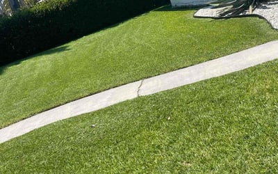 Photo of Eric O.'s yard after getting lawn care in Hollywood, FL