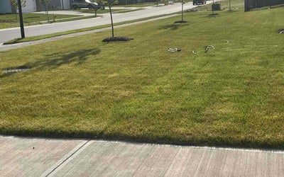 Photo of Chad H.'s yard after getting lawn care in Franklin, IN