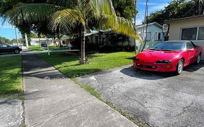 Photo of Eric O.'s yard after getting lawn care in Hollywood, FL