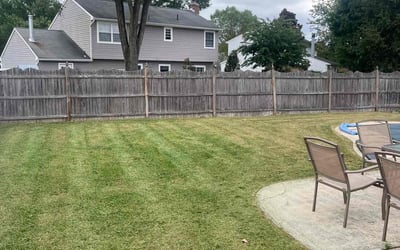 Photo of James P.'s yard after getting lawn care in Pennsauken, NJ