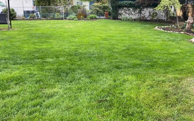Photo of Tyler H.'s yard after getting lawn care in Arlington, WA