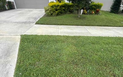 Photo of Elizabeth H.'s yard after getting lawn care in Olympia, WA