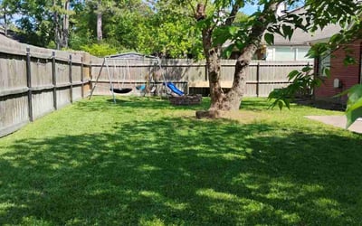Photo of Nico S.'s yard after getting lawn care in Liberty, TX
