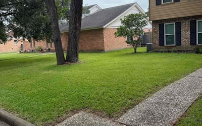 Photo of Leon C.'s yard after getting lawn care in East Haven, CT