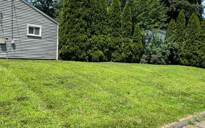 Photo of Deborah F.'s yard after getting lawn care in Wallingford, CT