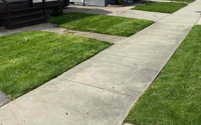 Photo of Karyn B.'s yard after getting lawn care in Hinckley, OH