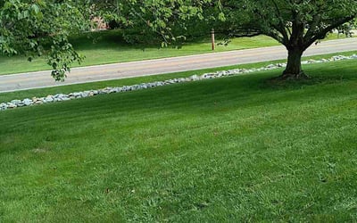 Photo of Andrew S.'s yard after getting lawn care in Cincinnati, OH