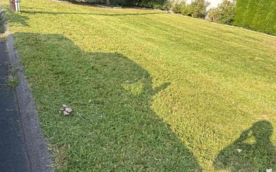 Photo of Joe L.'s yard after getting lawn care in Derby, CT