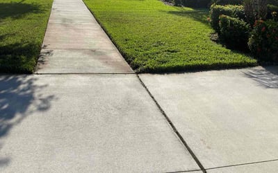 Photo of Mohammed A.'s yard after getting lawn care in Seffner, FL