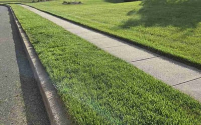 Photo of Charla R.'s yard after getting lawn care in Feasterville Trevose, PA